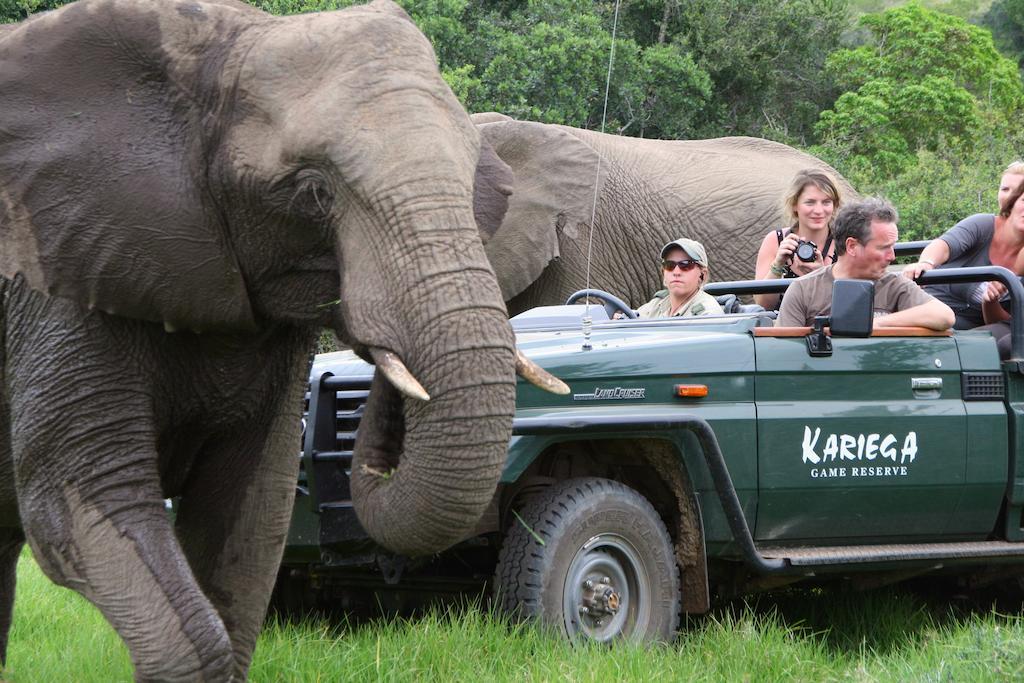 Kariega Game Reserve River Lodge Kenton on Sea Eksteriør bilde